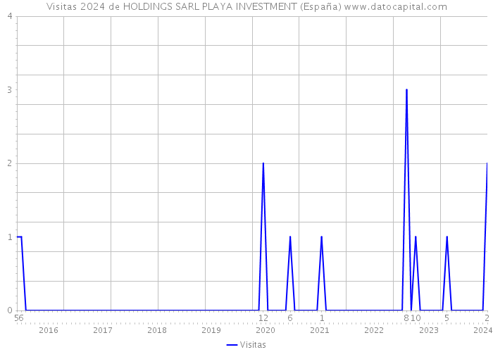 Visitas 2024 de HOLDINGS SARL PLAYA INVESTMENT (España) 
