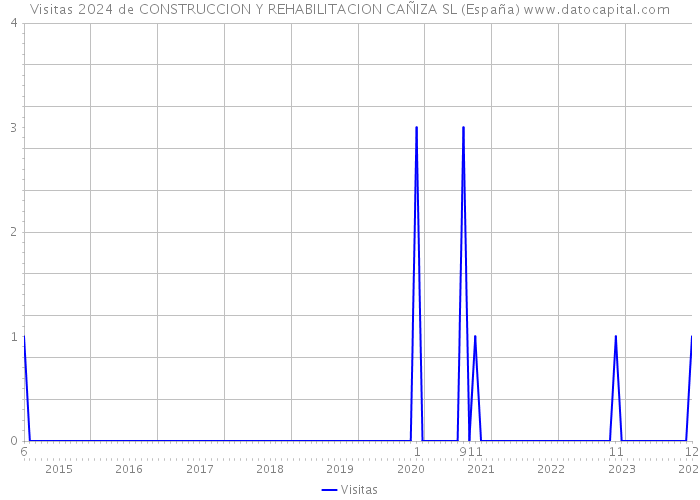 Visitas 2024 de CONSTRUCCION Y REHABILITACION CAÑIZA SL (España) 