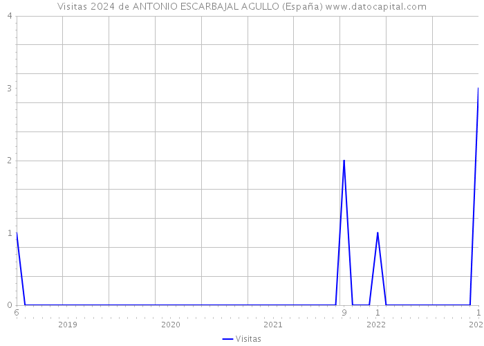 Visitas 2024 de ANTONIO ESCARBAJAL AGULLO (España) 