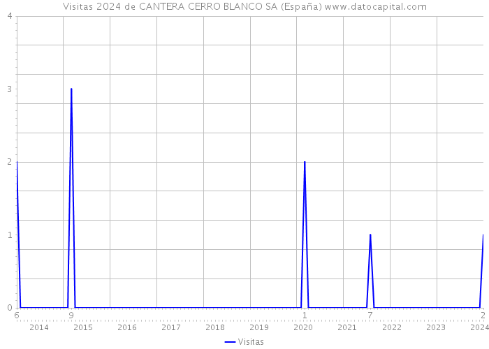 Visitas 2024 de CANTERA CERRO BLANCO SA (España) 