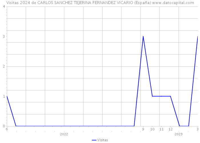 Visitas 2024 de CARLOS SANCHEZ TEJERINA FERNANDEZ VICARIO (España) 