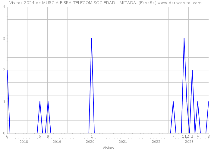 Visitas 2024 de MURCIA FIBRA TELECOM SOCIEDAD LIMITADA. (España) 