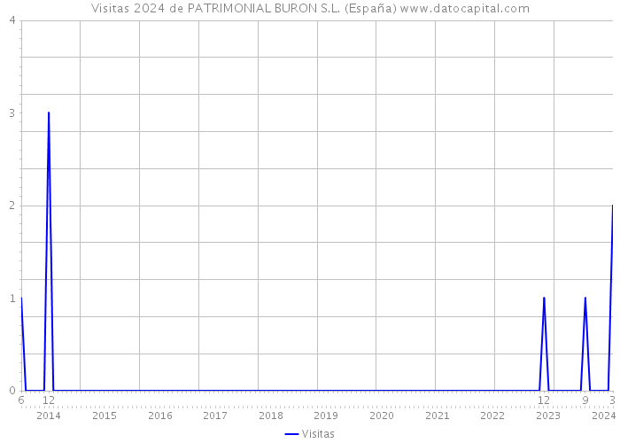 Visitas 2024 de PATRIMONIAL BURON S.L. (España) 