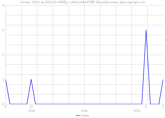 Visitas 2024 de ROCIO APRELL LASAGABASTER (España) 