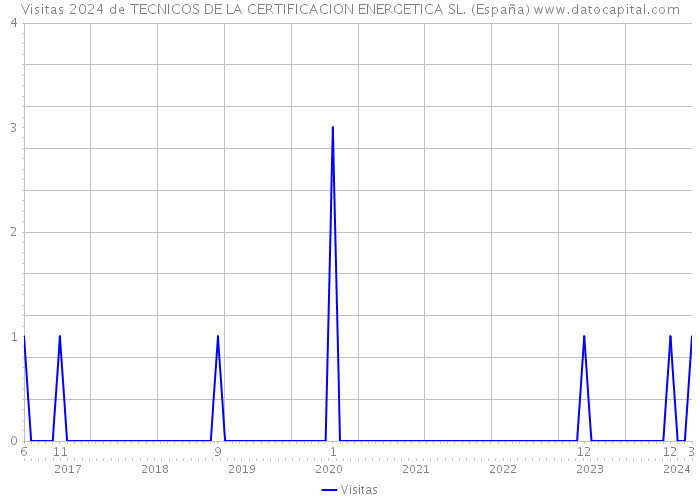 Visitas 2024 de TECNICOS DE LA CERTIFICACION ENERGETICA SL. (España) 