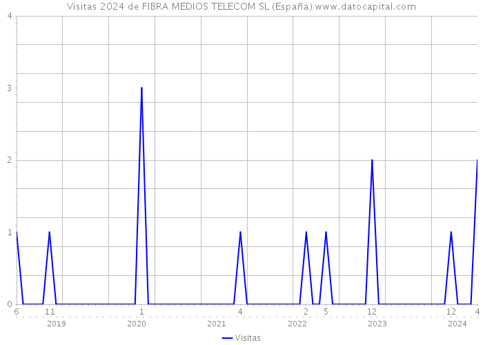 Visitas 2024 de FIBRA MEDIOS TELECOM SL (España) 