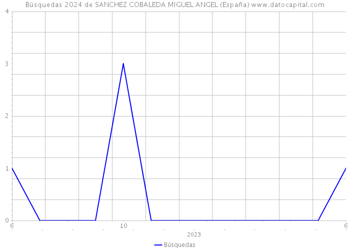 Búsquedas 2024 de SANCHEZ COBALEDA MIGUEL ANGEL (España) 