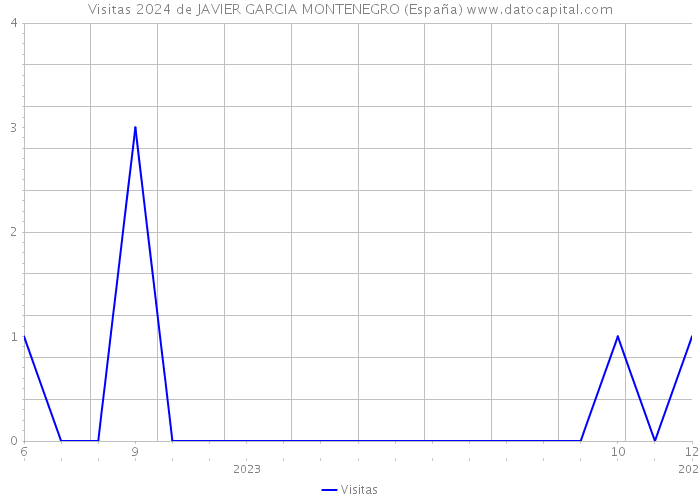 Visitas 2024 de JAVIER GARCIA MONTENEGRO (España) 