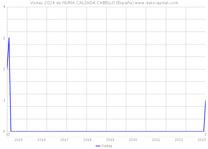 Visitas 2024 de NURIA CALZADA CABELLO (España) 