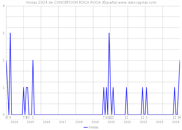Visitas 2024 de CONCEPCION ROCA ROCA (España) 