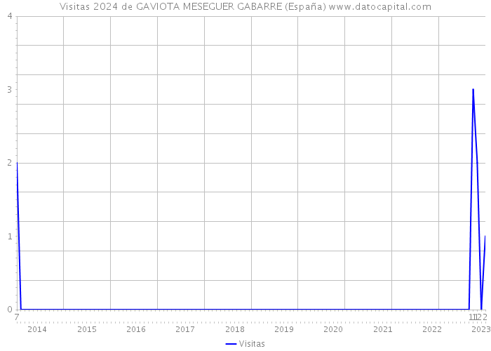 Visitas 2024 de GAVIOTA MESEGUER GABARRE (España) 
