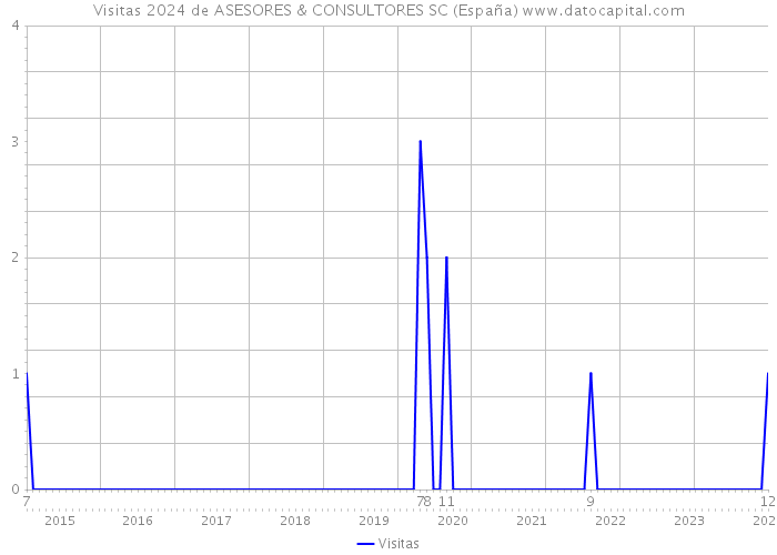 Visitas 2024 de ASESORES & CONSULTORES SC (España) 
