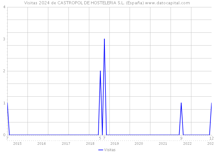 Visitas 2024 de CASTROPOL DE HOSTELERIA S.L. (España) 