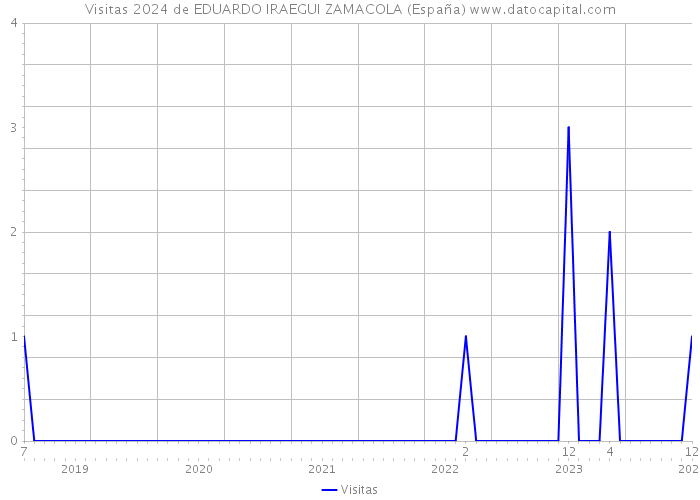 Visitas 2024 de EDUARDO IRAEGUI ZAMACOLA (España) 