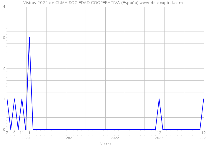 Visitas 2024 de CUMA SOCIEDAD COOPERATIVA (España) 