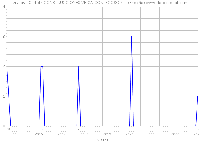 Visitas 2024 de CONSTRUCCIONES VEIGA CORTEGOSO S.L. (España) 