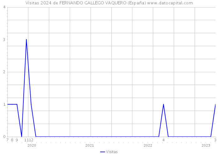 Visitas 2024 de FERNANDO GALLEGO VAQUERO (España) 