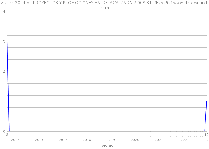 Visitas 2024 de PROYECTOS Y PROMOCIONES VALDELACALZADA 2.003 S.L. (España) 
