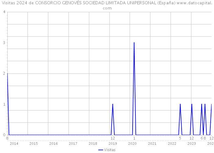 Visitas 2024 de CONSORCIO GENOVÉS SOCIEDAD LIMITADA UNIPERSONAL (España) 