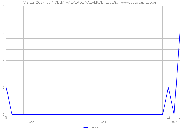 Visitas 2024 de NOELIA VALVERDE VALVERDE (España) 