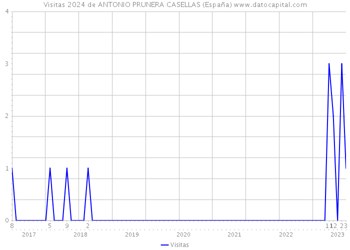 Visitas 2024 de ANTONIO PRUNERA CASELLAS (España) 