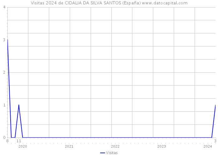 Visitas 2024 de CIDALIA DA SILVA SANTOS (España) 