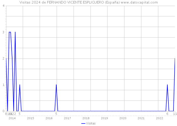 Visitas 2024 de FERNANDO VICENTE ESPLIGUERO (España) 