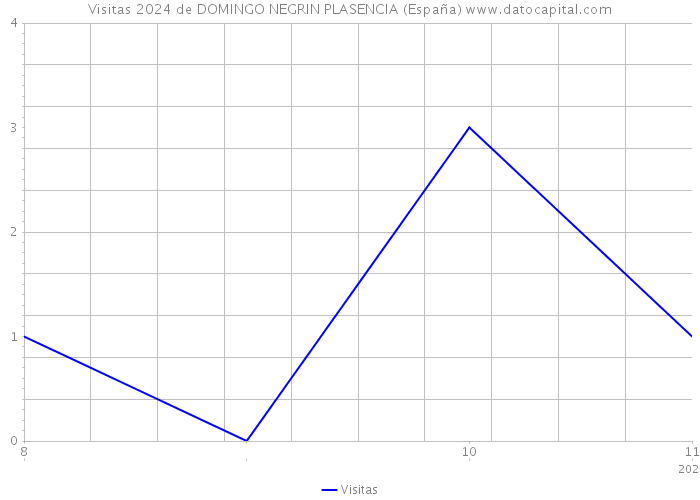 Visitas 2024 de DOMINGO NEGRIN PLASENCIA (España) 