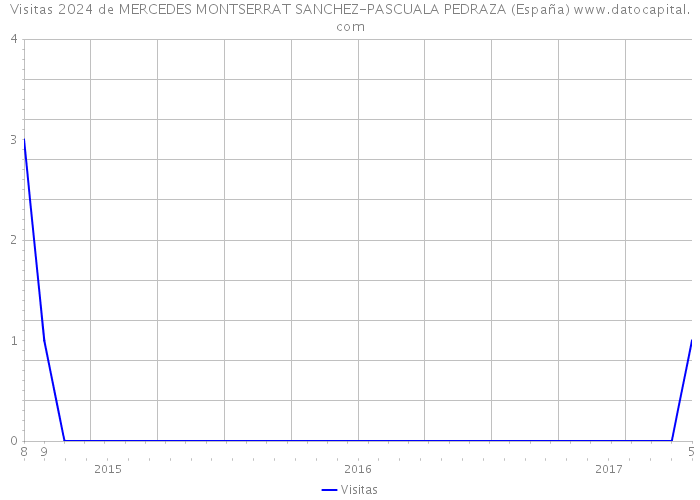Visitas 2024 de MERCEDES MONTSERRAT SANCHEZ-PASCUALA PEDRAZA (España) 