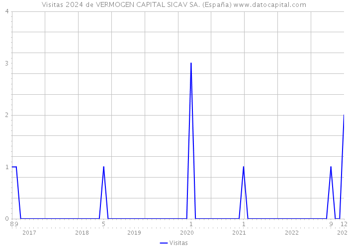 Visitas 2024 de VERMOGEN CAPITAL SICAV SA. (España) 