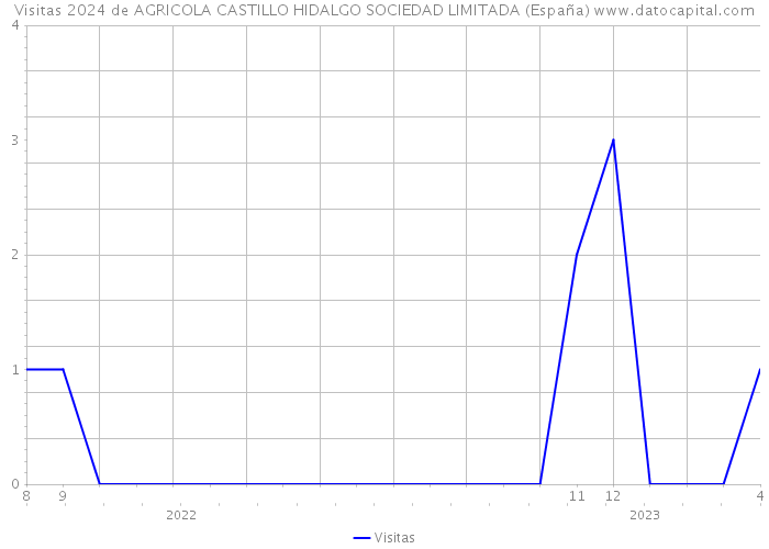 Visitas 2024 de AGRICOLA CASTILLO HIDALGO SOCIEDAD LIMITADA (España) 