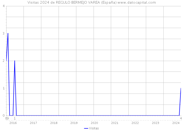 Visitas 2024 de REGULO BERMEJO VAREA (España) 