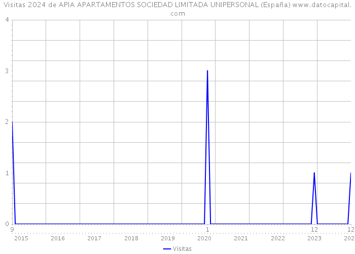 Visitas 2024 de APIA APARTAMENTOS SOCIEDAD LIMITADA UNIPERSONAL (España) 