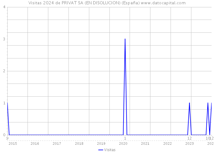 Visitas 2024 de PRIVAT SA (EN DISOLUCION) (España) 