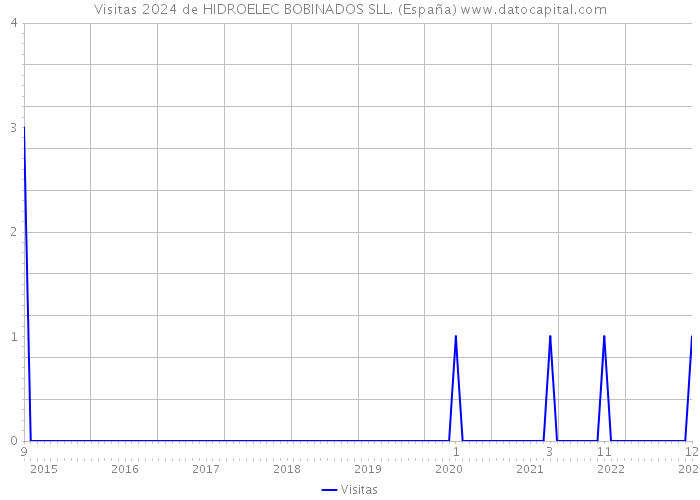 Visitas 2024 de HIDROELEC BOBINADOS SLL. (España) 
