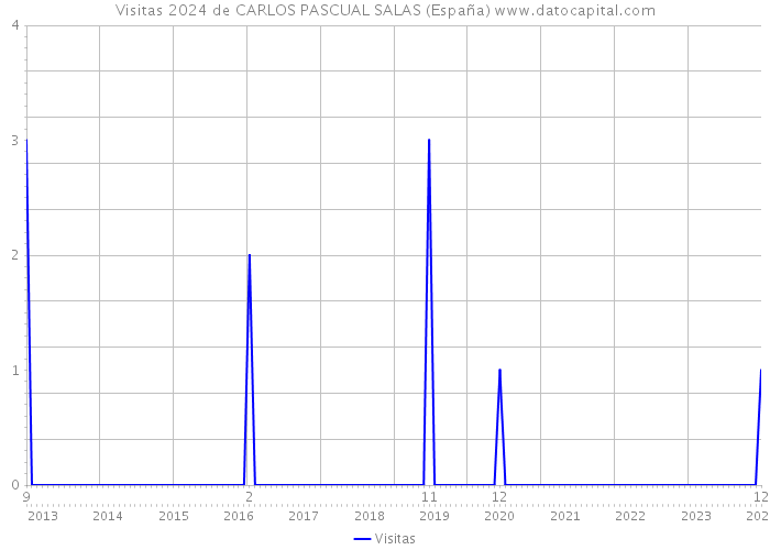Visitas 2024 de CARLOS PASCUAL SALAS (España) 