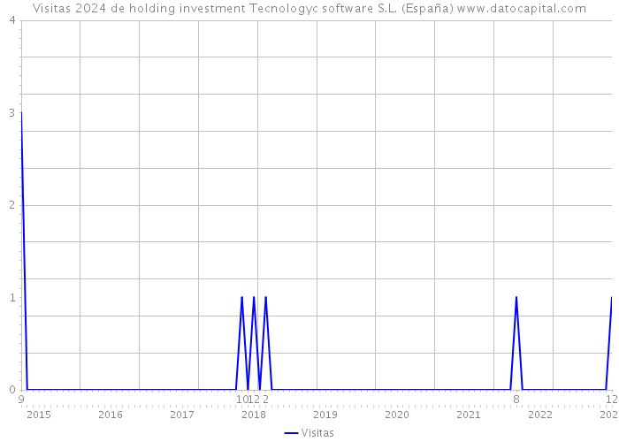 Visitas 2024 de holding investment Tecnologyc software S.L. (España) 