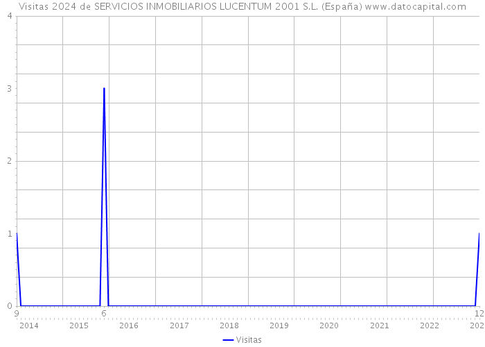 Visitas 2024 de SERVICIOS INMOBILIARIOS LUCENTUM 2001 S.L. (España) 