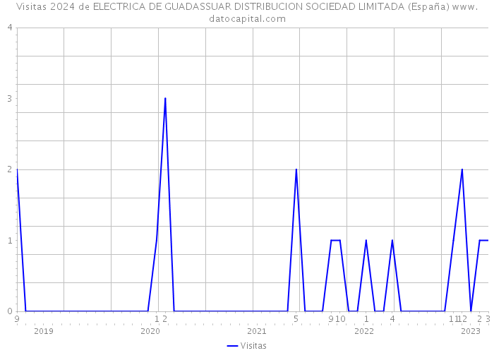 Visitas 2024 de ELECTRICA DE GUADASSUAR DISTRIBUCION SOCIEDAD LIMITADA (España) 