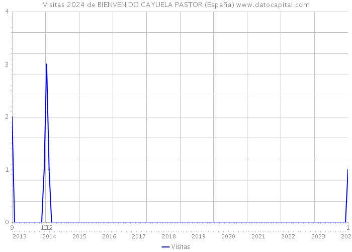 Visitas 2024 de BIENVENIDO CAYUELA PASTOR (España) 
