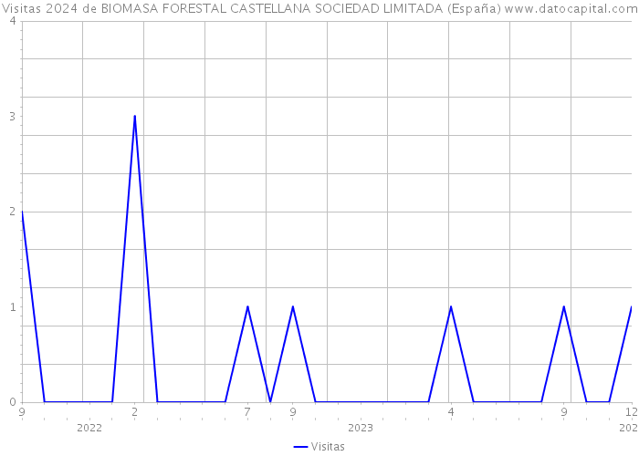 Visitas 2024 de BIOMASA FORESTAL CASTELLANA SOCIEDAD LIMITADA (España) 