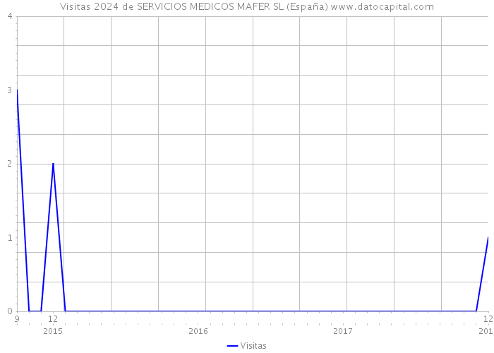 Visitas 2024 de SERVICIOS MEDICOS MAFER SL (España) 