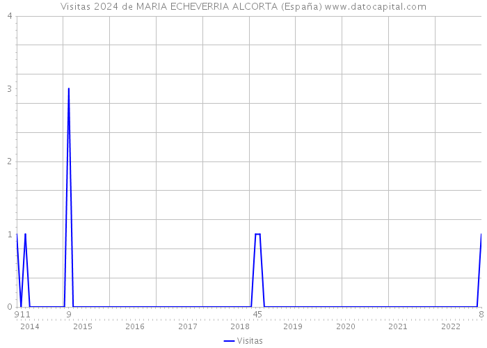 Visitas 2024 de MARIA ECHEVERRIA ALCORTA (España) 