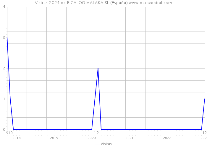 Visitas 2024 de BIGALOO MALAKA SL (España) 