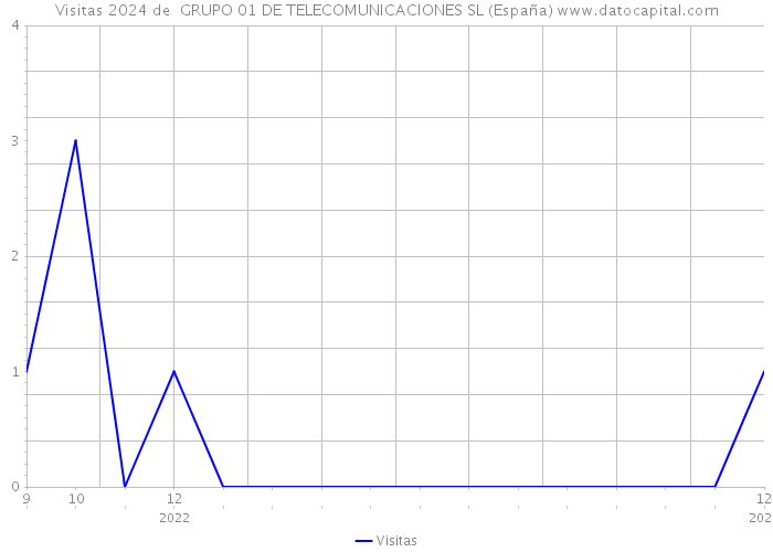 Visitas 2024 de  GRUPO 01 DE TELECOMUNICACIONES SL (España) 