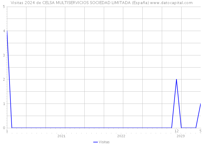 Visitas 2024 de CELSA MULTISERVICIOS SOCIEDAD LIMITADA (España) 