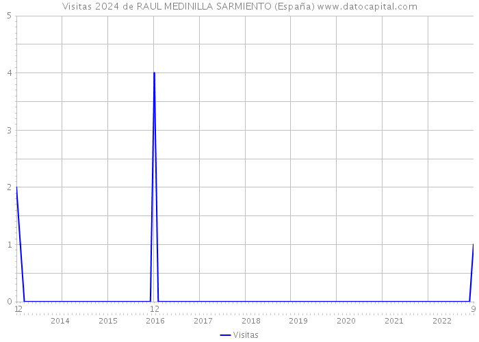 Visitas 2024 de RAUL MEDINILLA SARMIENTO (España) 