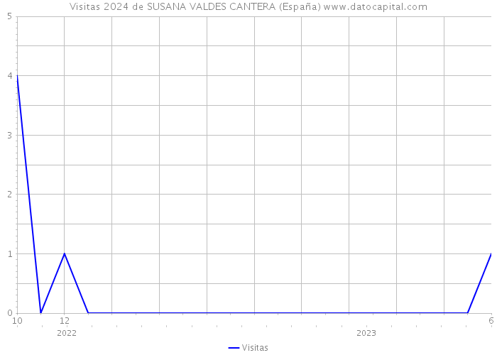Visitas 2024 de SUSANA VALDES CANTERA (España) 