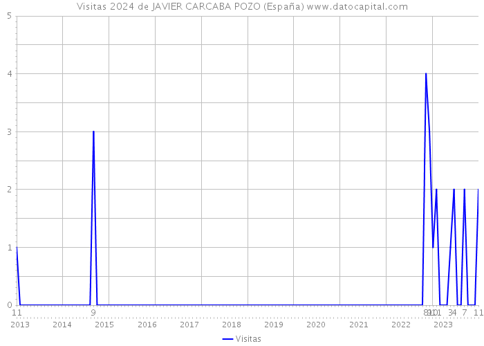 Visitas 2024 de JAVIER CARCABA POZO (España) 