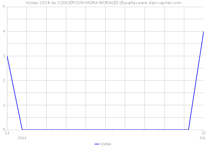 Visitas 2024 de CONCEPCION MORA MORALES (España) 